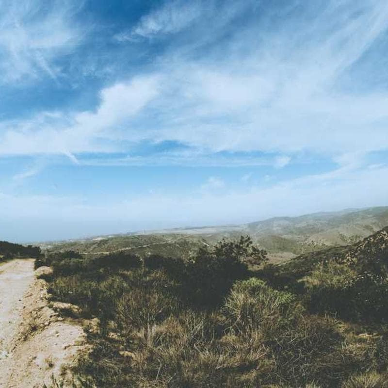 Logitech MX Master 3S Mouse